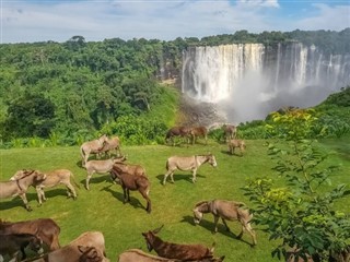 Angola