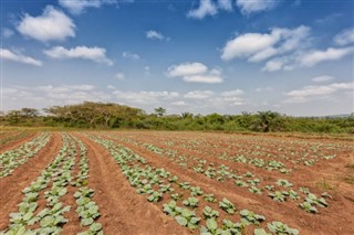 Angola