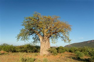 Angola