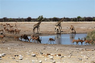 Angola