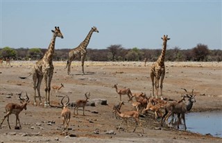 Angola