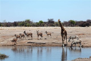 Angola