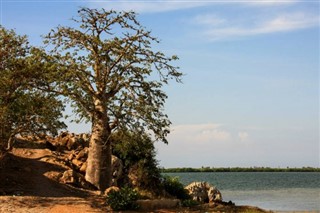 অ্যাঙ্গোলা