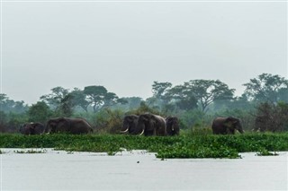 Angola