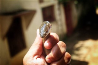 انگویلا