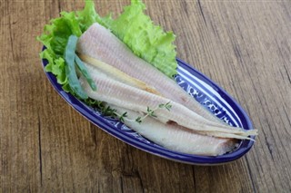앵