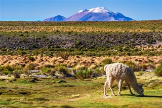 Argentína