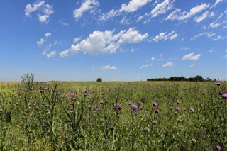 Аргентина