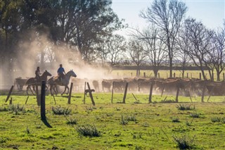 Argentinië