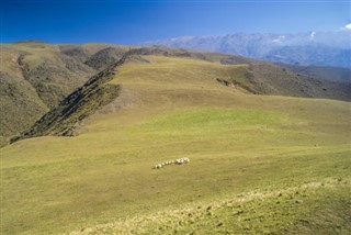 Аргентина