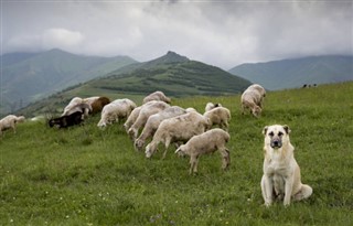 Armenia