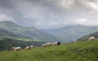 Armenija