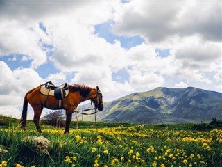 Armenië