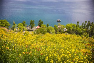 Armenië