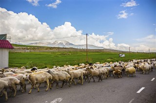 Armenia