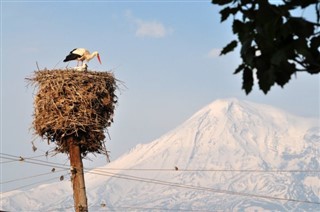 亞美尼亞