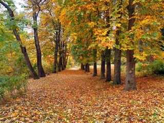 Вірменія