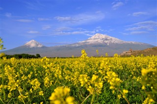 Армения