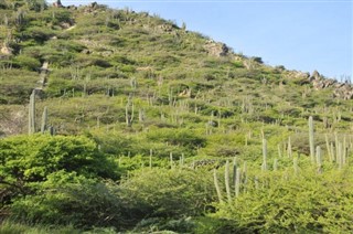 Aruba