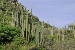 Aruba