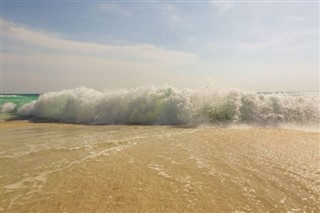 আরুবা