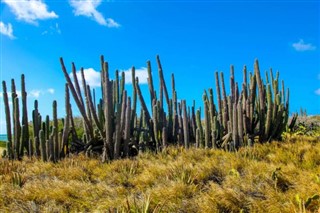 Aruba