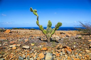 Aruba