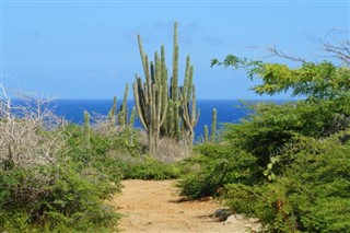 Aruba