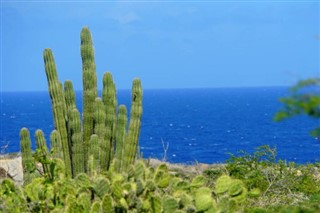 Aruba