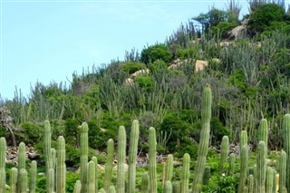 Aruba