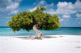 اربا