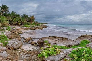 আরুবা