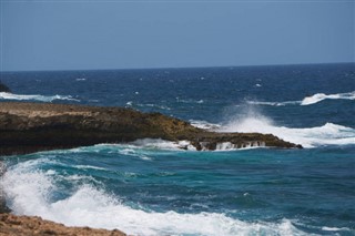 阿魯巴
