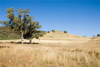 Australija