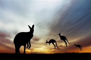 Australië