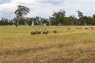 অস্ট্রেলিয়া