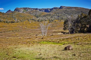 Austrālija