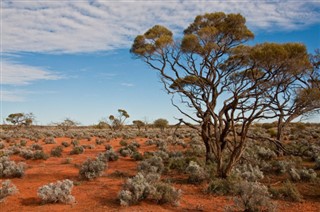 Australija