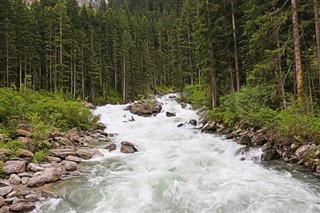 Áo