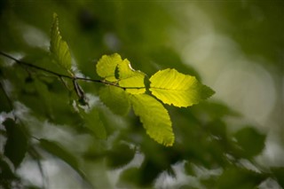 Azerbaidžāna