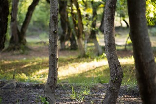 আজেরবাইজান