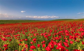 Azerbaijan