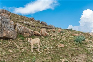 Azerbaijan