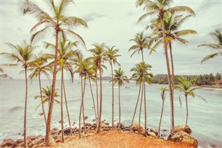 Bahami