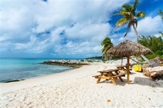 Багамские