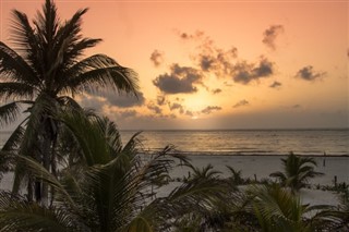 Bahamų