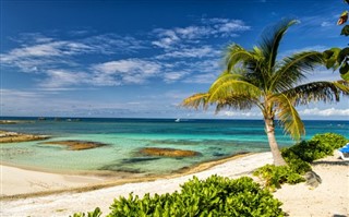 Bahamų