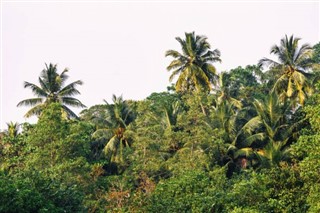 Bahamské