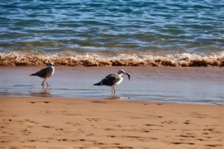 바레인