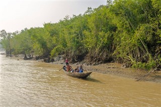 Bangladeş